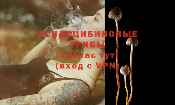 круглые Белокуриха