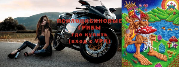 прущие крисы Нефтекумск